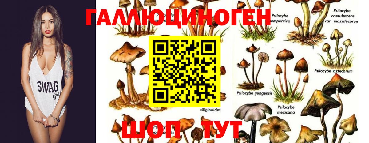 Галлюциногенные грибы Magic Shrooms Добрянка